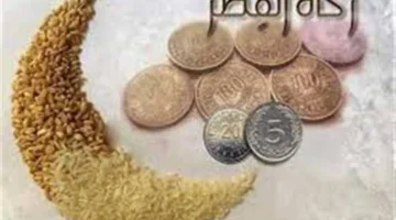 الإفتاء المصرية توضح حكم زيادة قيمة زكاة الفطر عن 35 جنيهًا لمن استطاع